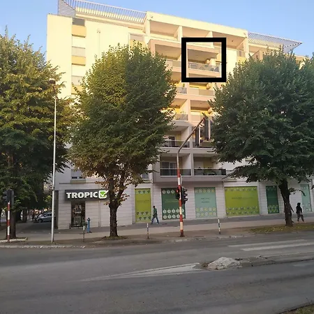 Avisi *